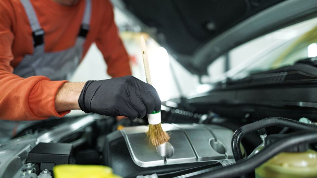 Así se debe limpiar el motor de un carro.