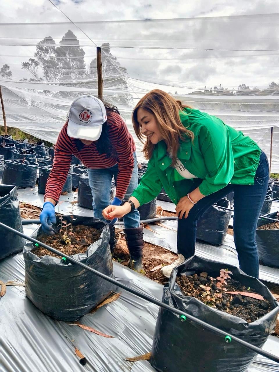 Mujeres en Nariño trabajan con proyectos agrícolas productivos impulsados por la representante Teresa Enríquez