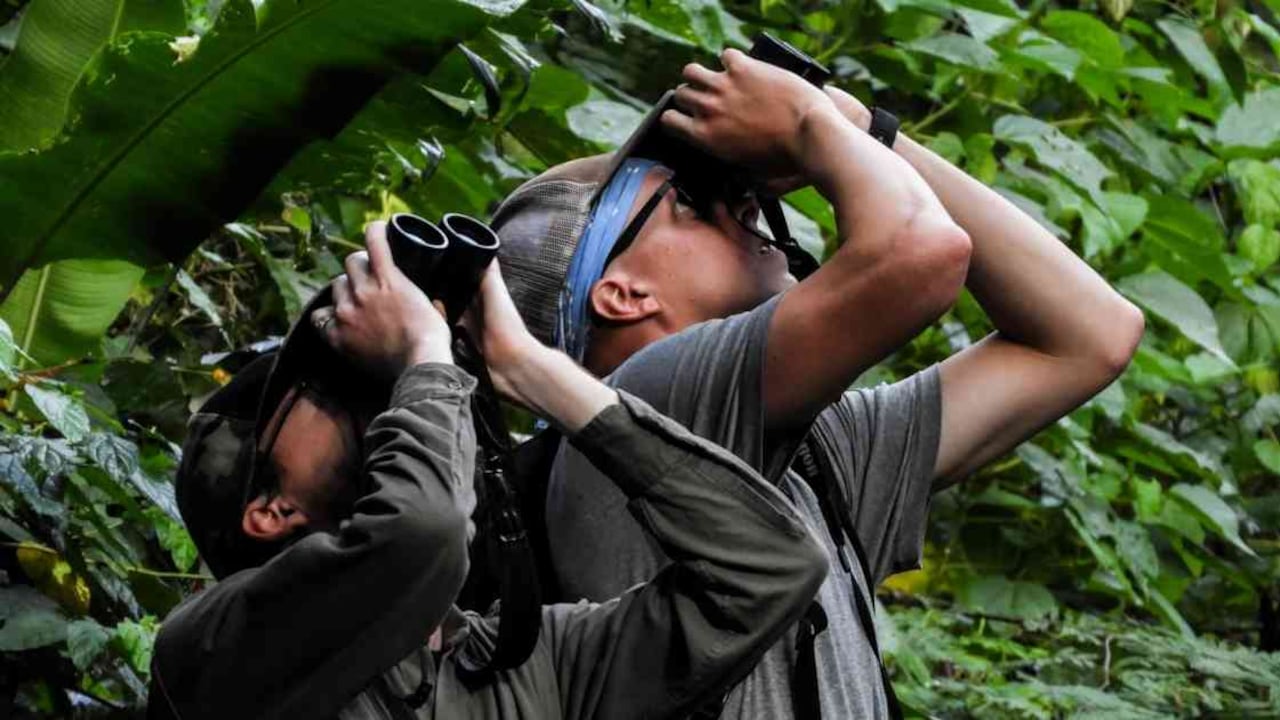 En Colombia el año pasado participaron en esta actividad 4.030 personas, distribuidas en 738 rutas. Foto: ProColombia.