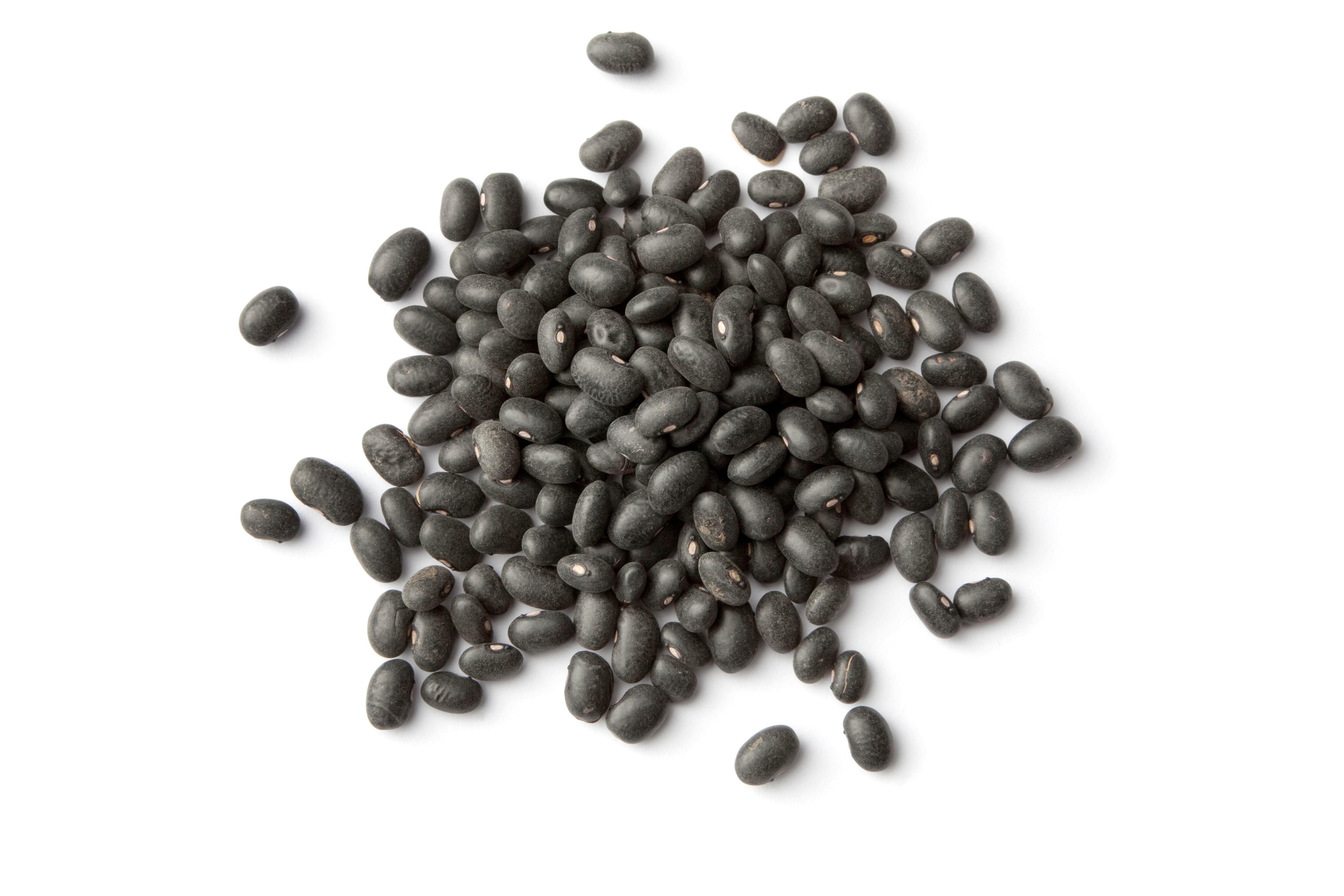 Los frijoles son ricos en nutrientes.