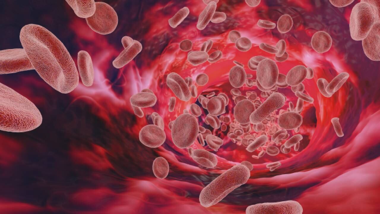 Cuando la sangre está sucia se puede sufrir síntomas como: catarros y resfriados de manera habitual, problemas de piel, dermatitis, sequedad, úlceras cutáneas, manchas o enrojecimientos y el cabello es frágil. Foto: GettyImages.