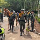 Animales jubilados de la Policía de Bucaramanga.