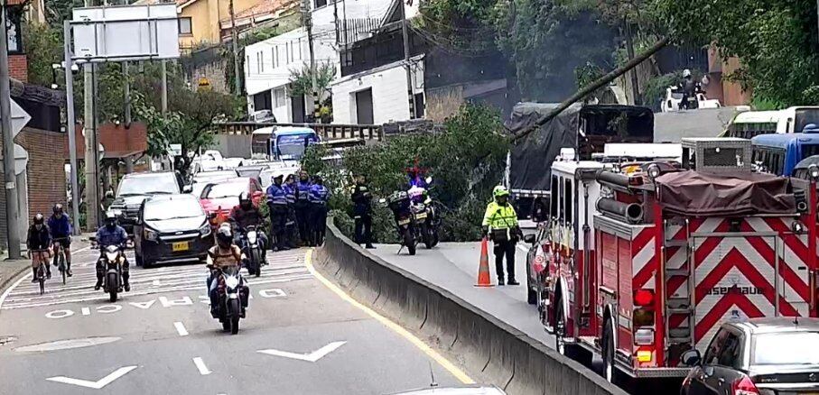 Un árbol obstaculizó la movilidad en la Av. Circunvalar