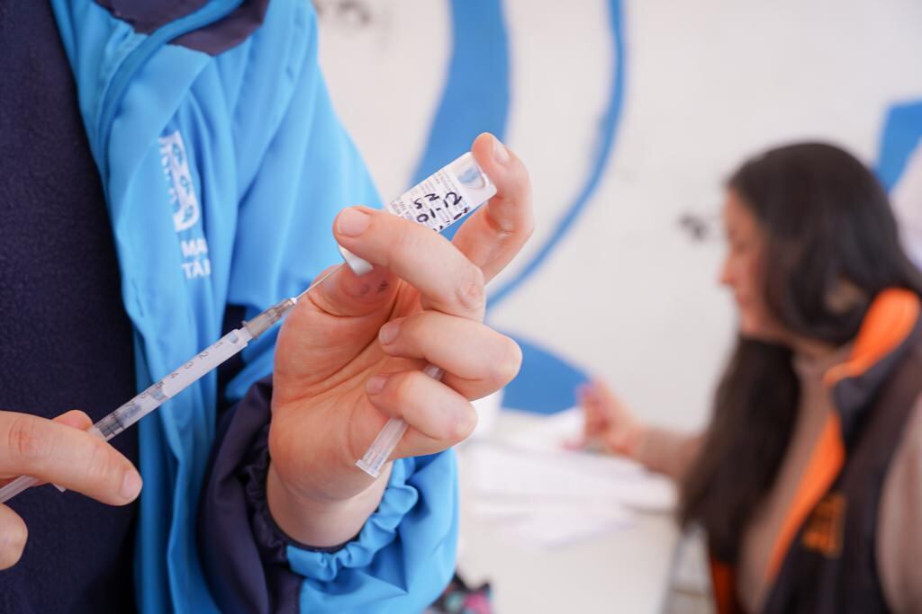 La distribución iniciará desde este mes de noviembre.