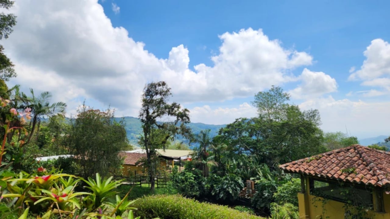 Cali brinda distintas opciones de turismo para conectar con la naturaleza.