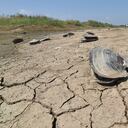 Esta foto tomada el 21 de agosto de 2022 muestra secciones secas de un lago en Nanjing, en la provincia oriental china de Jiangsu. (Foto de AFP) / China Out
