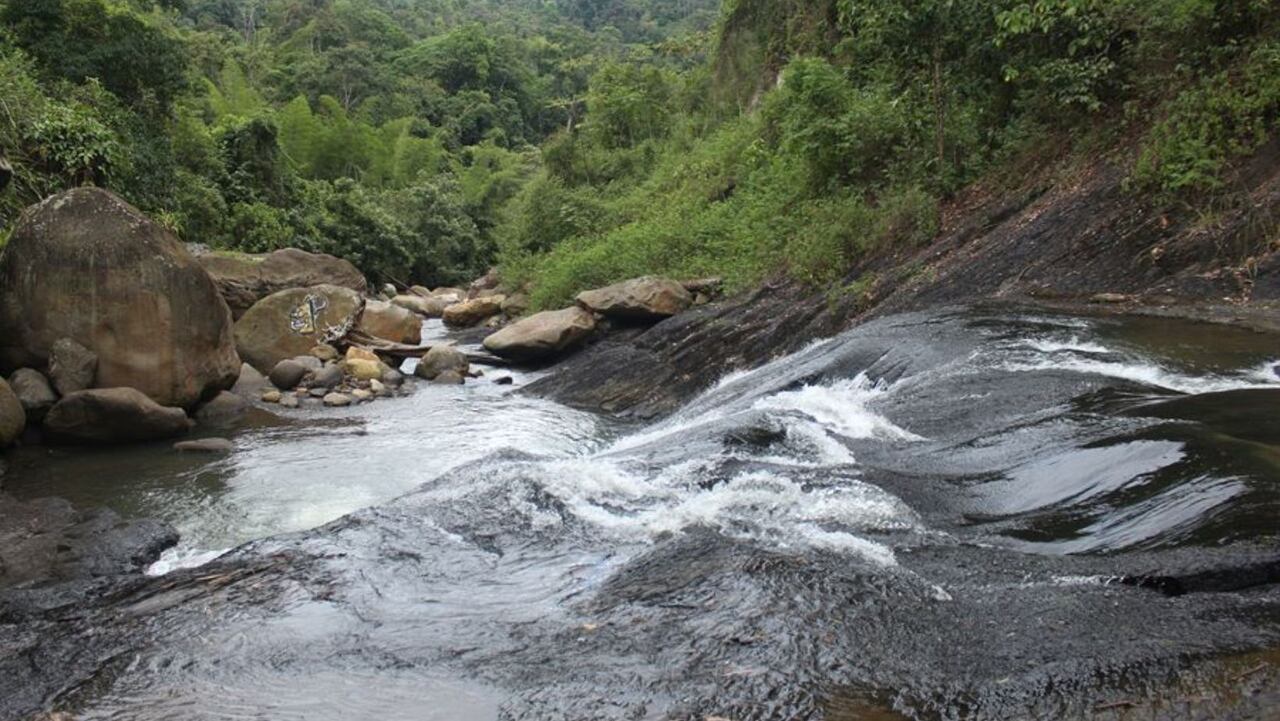 ¿Cómo llegar a la Cascada La Ruidosa en Viotá, Cundinamarca?