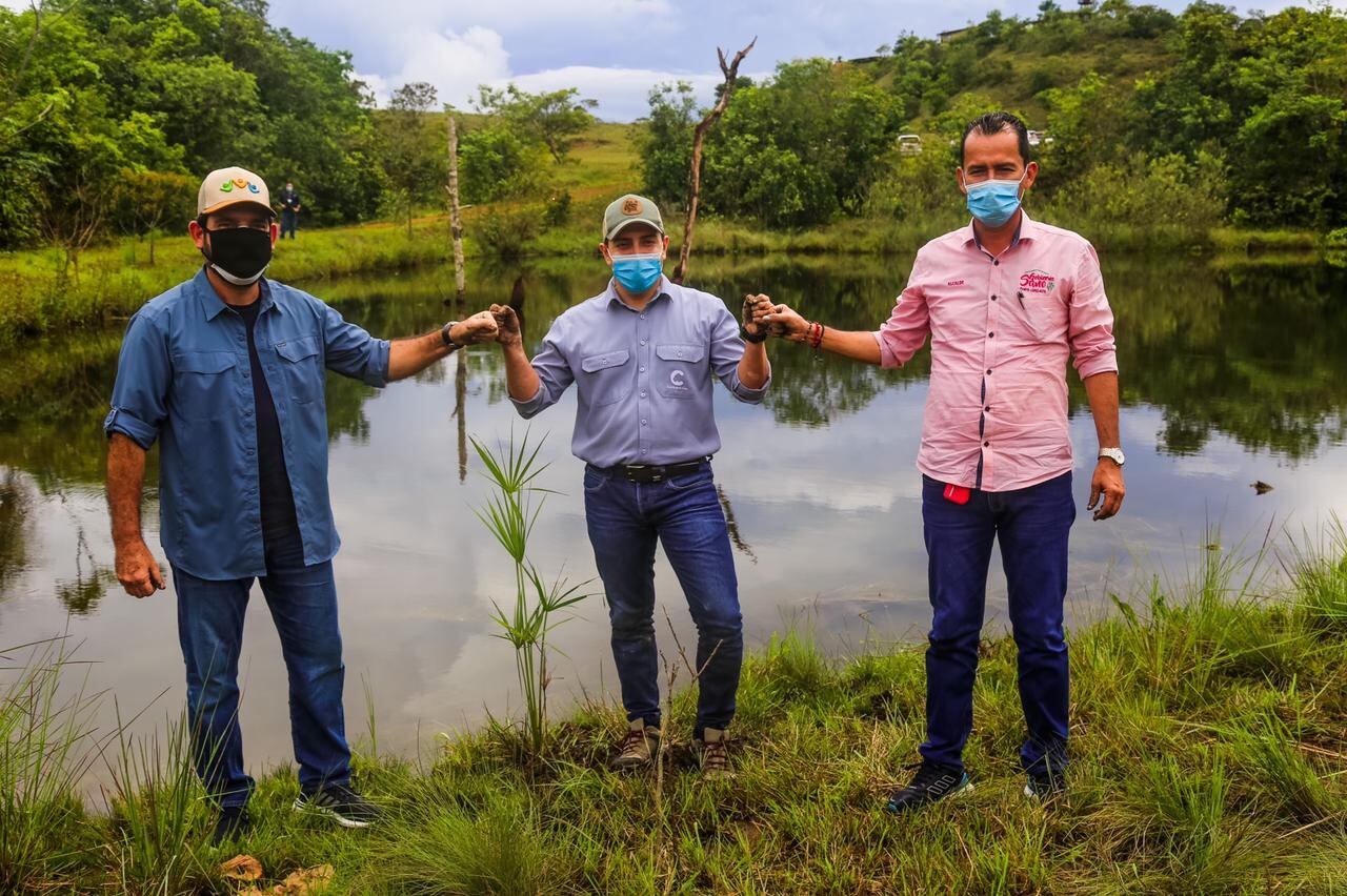 Siembra de árboles de las CAR