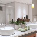 Hay plantas que son especiales para absorber la humedad en el baño.