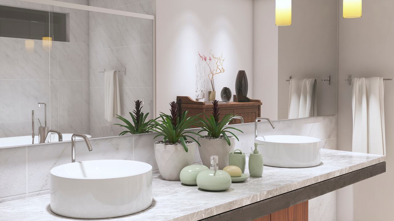 Hay plantas que son especiales para absorber la humedad en el baño.