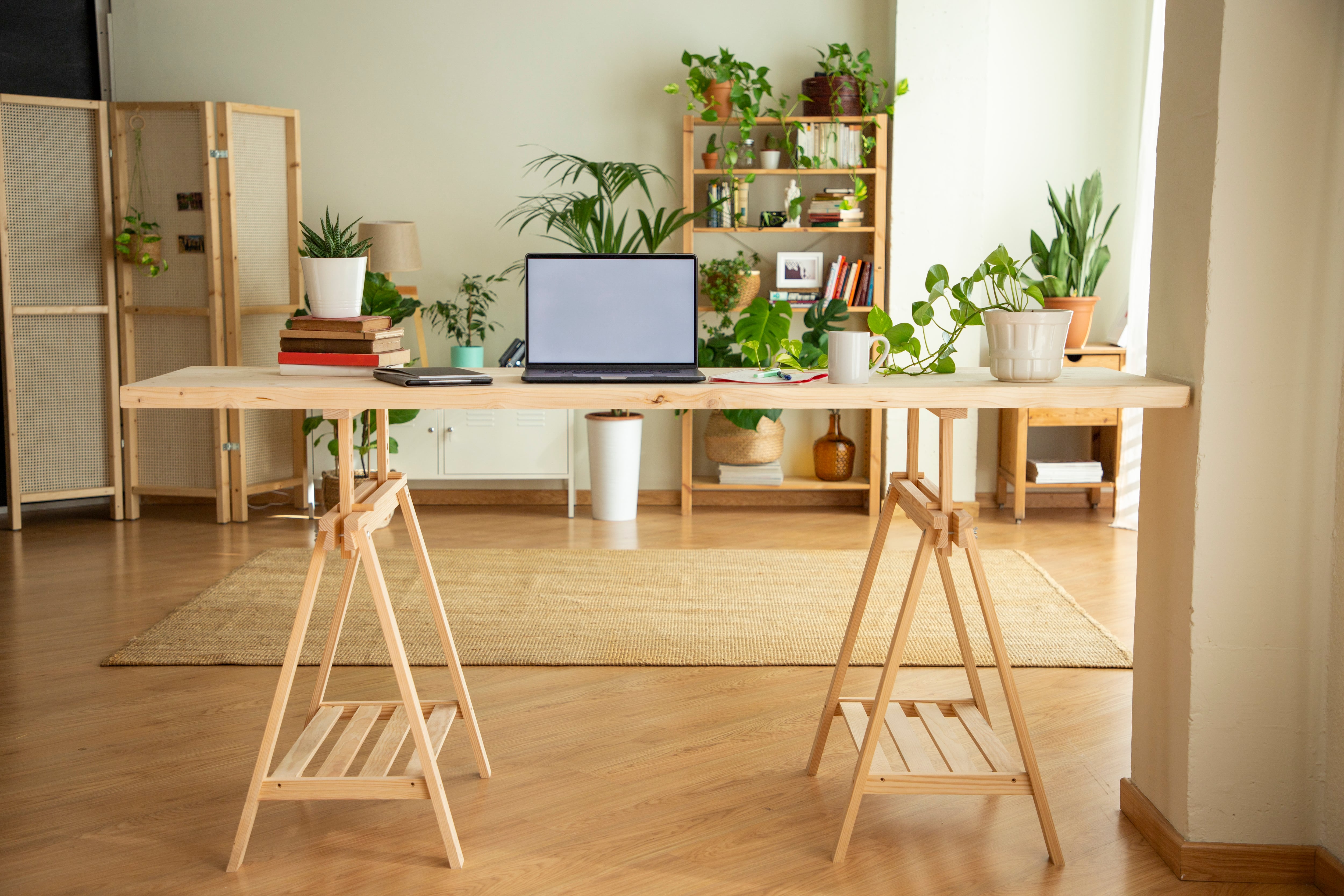 El Feng Shui es una filosofía china muy conocida.