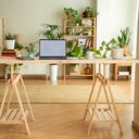 El Feng Shui es una filosofía china muy conocida.