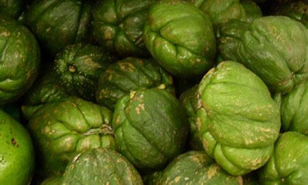 La guatila tiene múltiples beneficios para la salud.