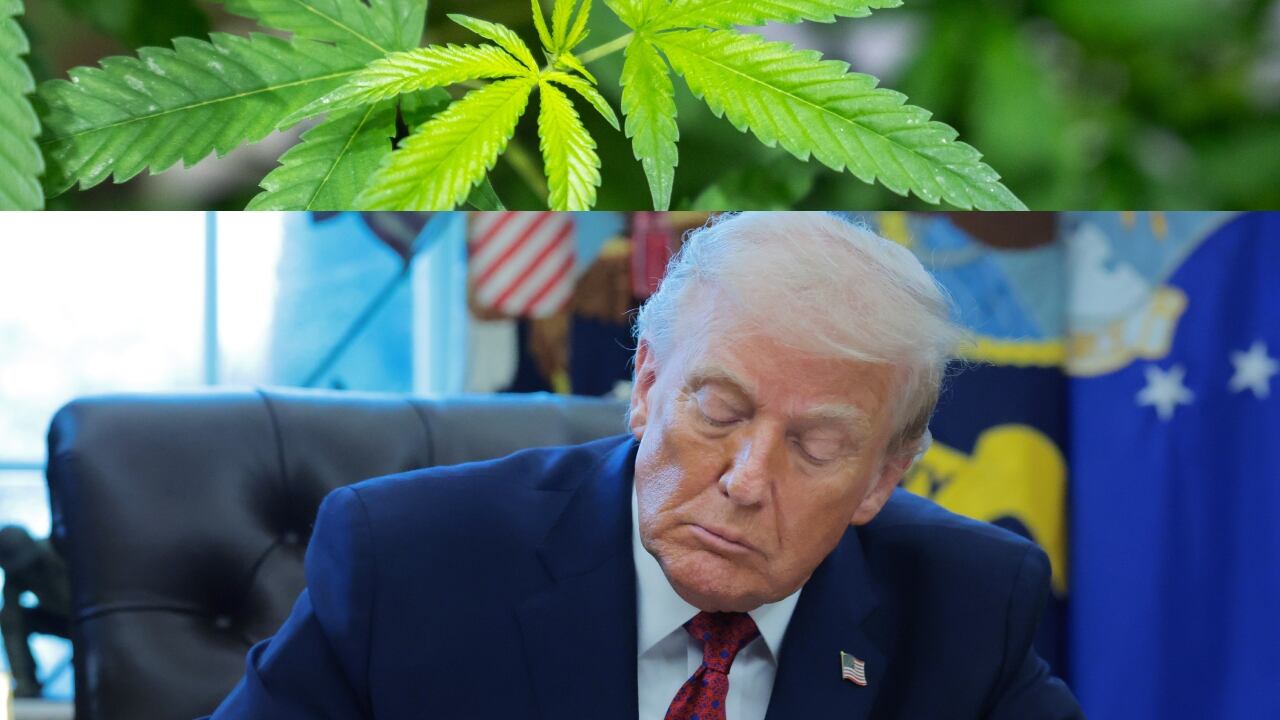 Donald Trump considera reclasificar el cannabis