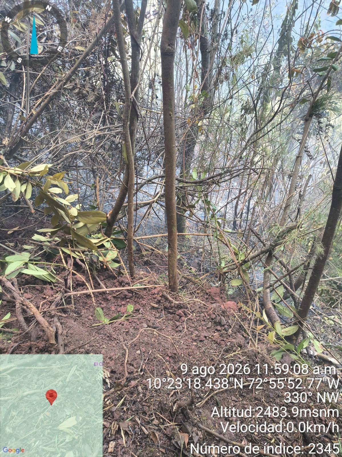 IUCN advierte por riesgo de incendios forestales ante sequía y altas temperaturas