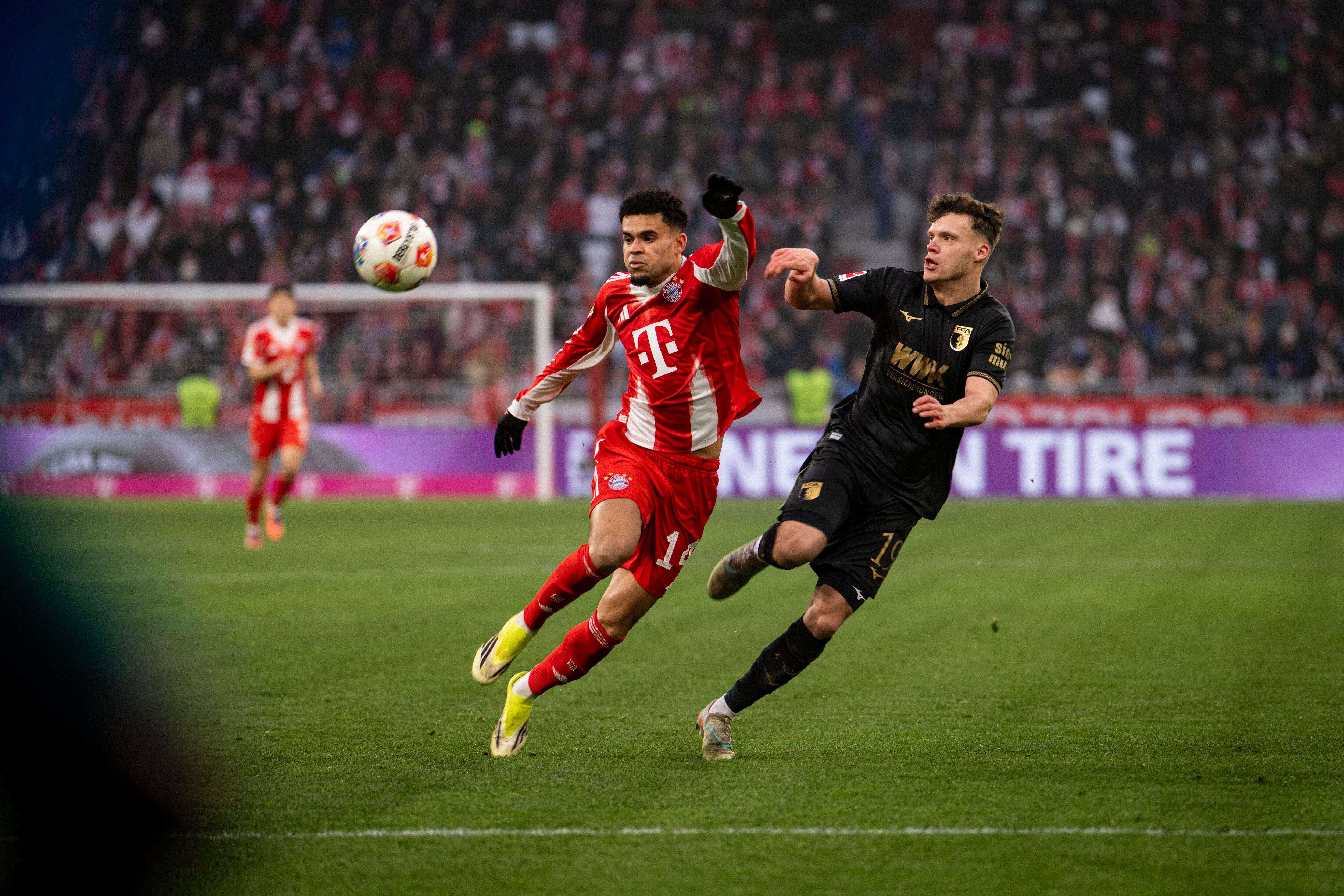 MUNICH, GERMANY - JANUARY 24: Luis Diaz of FC Bayern Muenchen is being challenged during the Bundesliga match between FC Bayern München and FC Augsburg at Allianz Arena on January 24, 2026 in Munich, Germany. (Photo by S. Mellar/FC Bayern via Getty Images)