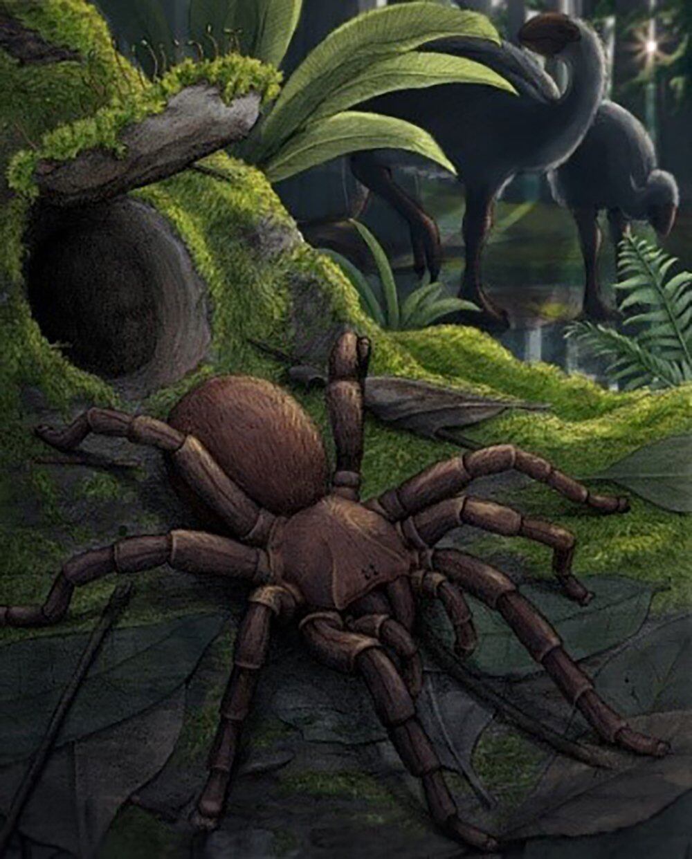 La reciente excavación de una araña fósil de hace 11 millones de años en Australia ha dejado boquiabiertos a los expertos, con el descubrimiento de Megamonodontium, una especie de tamaño colosal.