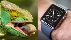 Esta tecnología le permitiría a los dispositivos cambiar de color.