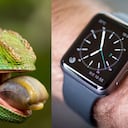 Esta tecnología le permitiría a los dispositivos cambiar de color.