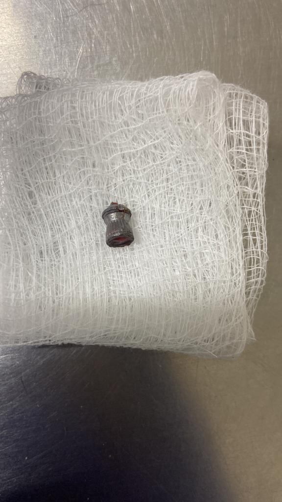 El mono presentaba varias lesiones producidas con arma de fuego