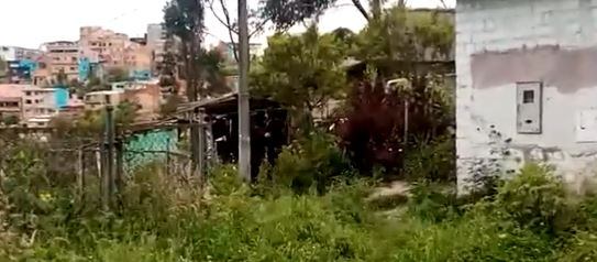 El señor tiene un rancho ubicado adyacente a las instalaciones del colegio.