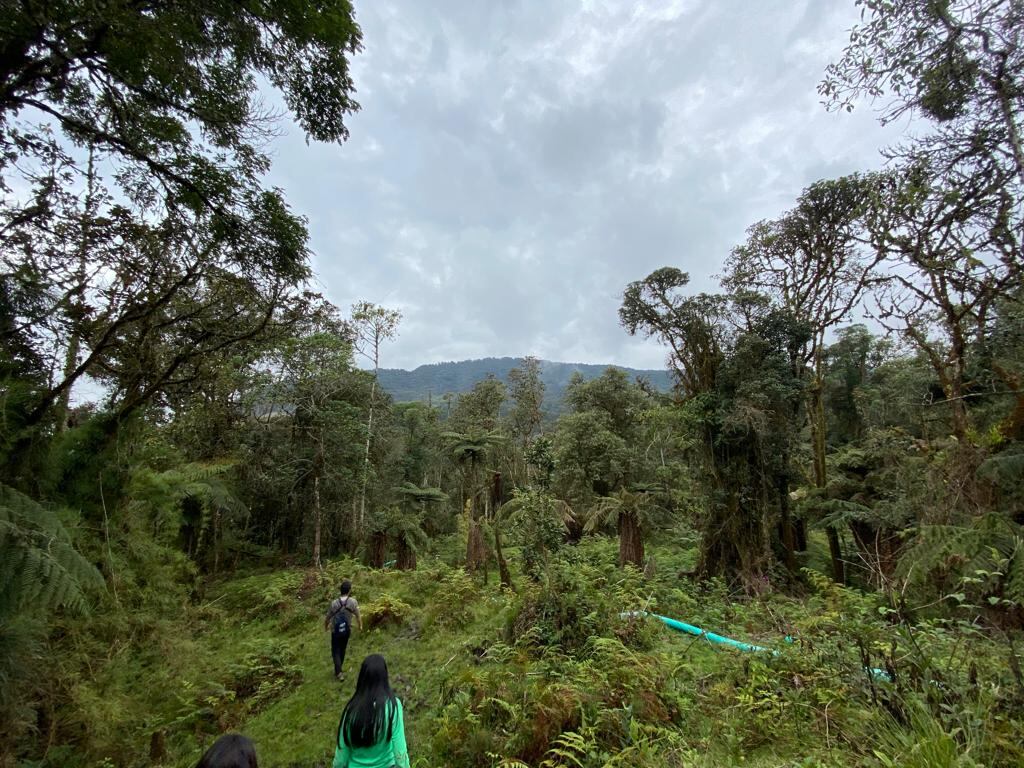 La reserva El Palmar se ha convertido un espacio para concientizar sobre la importancia de la protección del oso de anteojos y el agua.