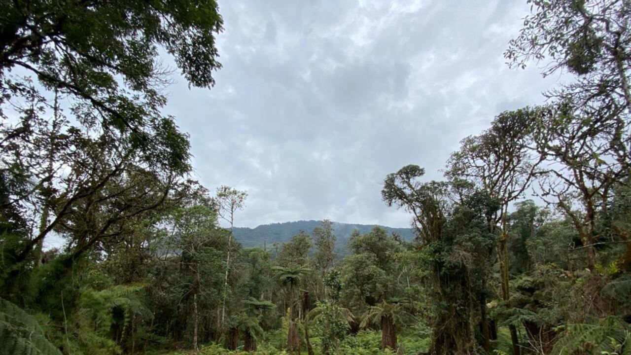 La reserva El Palmar se ha convertido un espacio para concientizar sobre la importancia de la protección del oso de anteojos y el agua.