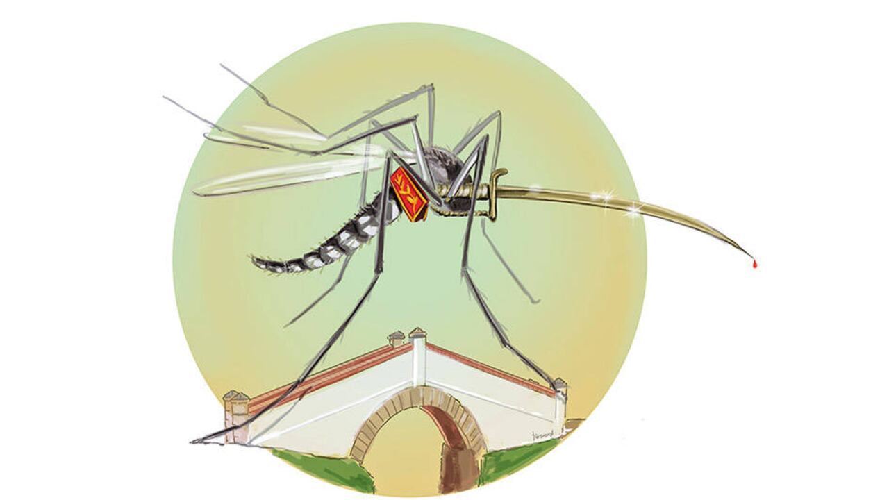 El Aedes aegypti debería ser un prócer por la cantidad de soldados españoles que mató o envió a la enfermería.