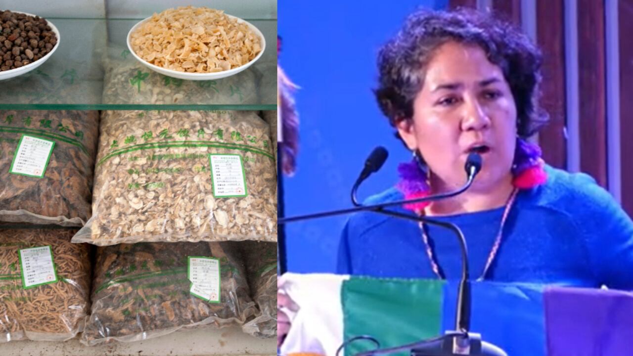 OMS lidera cumbre sobre medicina tradicional.