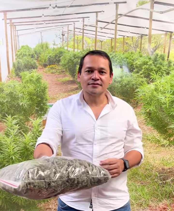 El representante Alejandro Ocampo llevó cerveza de marihuana a sus compañeros