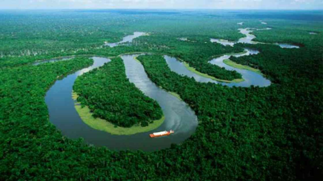 Preservar la selva amazónica es el principal reto de los nuevos gobernadores amazónicos elegidos. Foto: Archivo/Semana