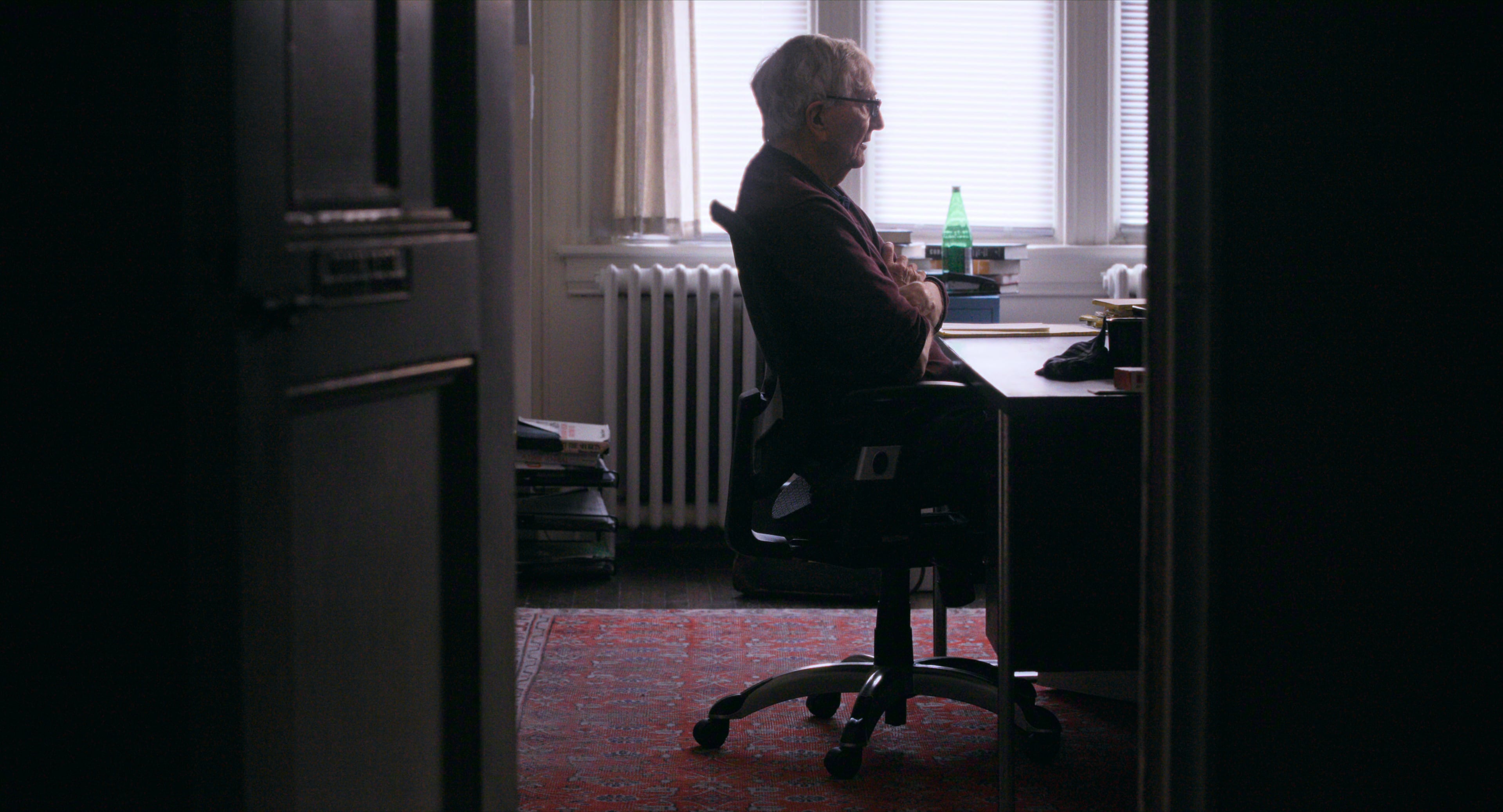 Cover-Up Netflix / Seymour Hersh