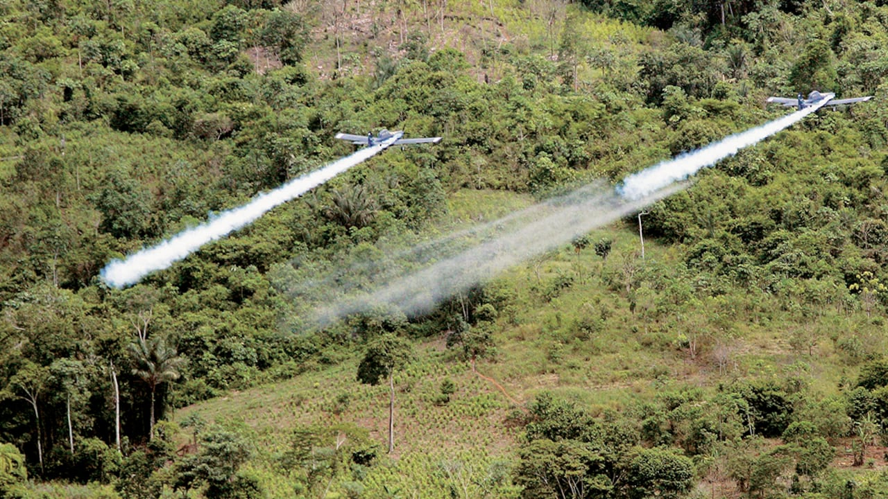 Más de 1.700.000 hectáreas han sido fumigadas en Colombia con glifosato.