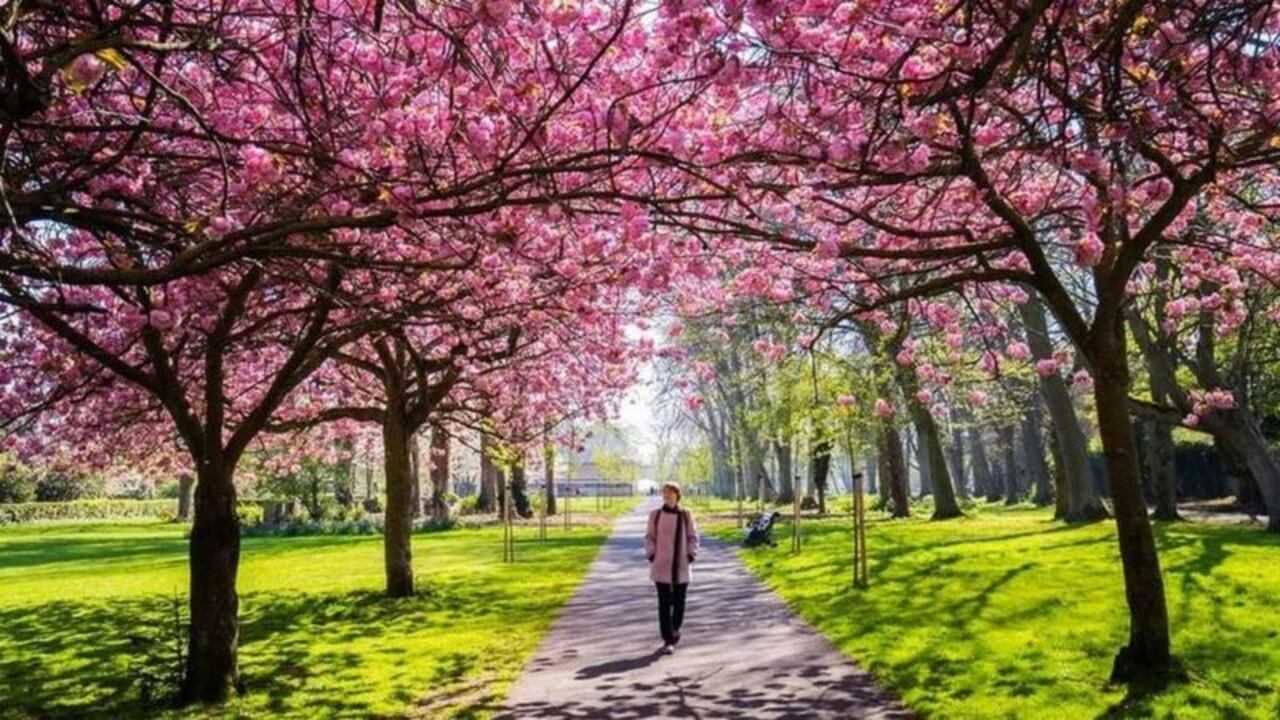 Tan pronto como salimos de casa, incluso para dar un paseo por el parque, nuestro cerebro comienza a prestar atención.