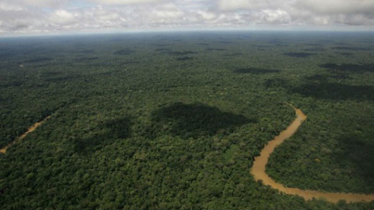 Esta es una vista aérea del parque Yasuní, en la Amazonía ecuatoriana.