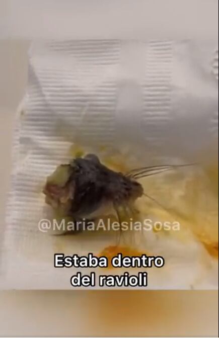 Mujer encontró un ratón en su comida -Twitter @MariaAlesiaSosa