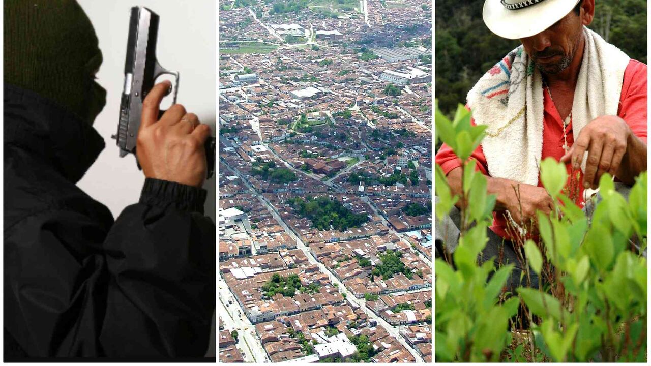 Coca y homicidios; la tesis del ministro de Defensa para explicar la inseguridad.