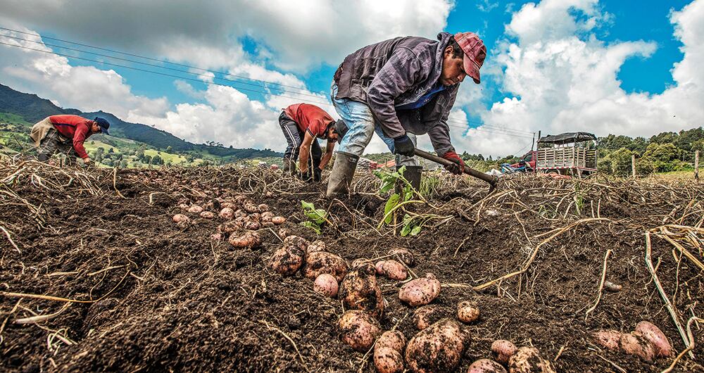 Los héroes que trabajan la tierra_1