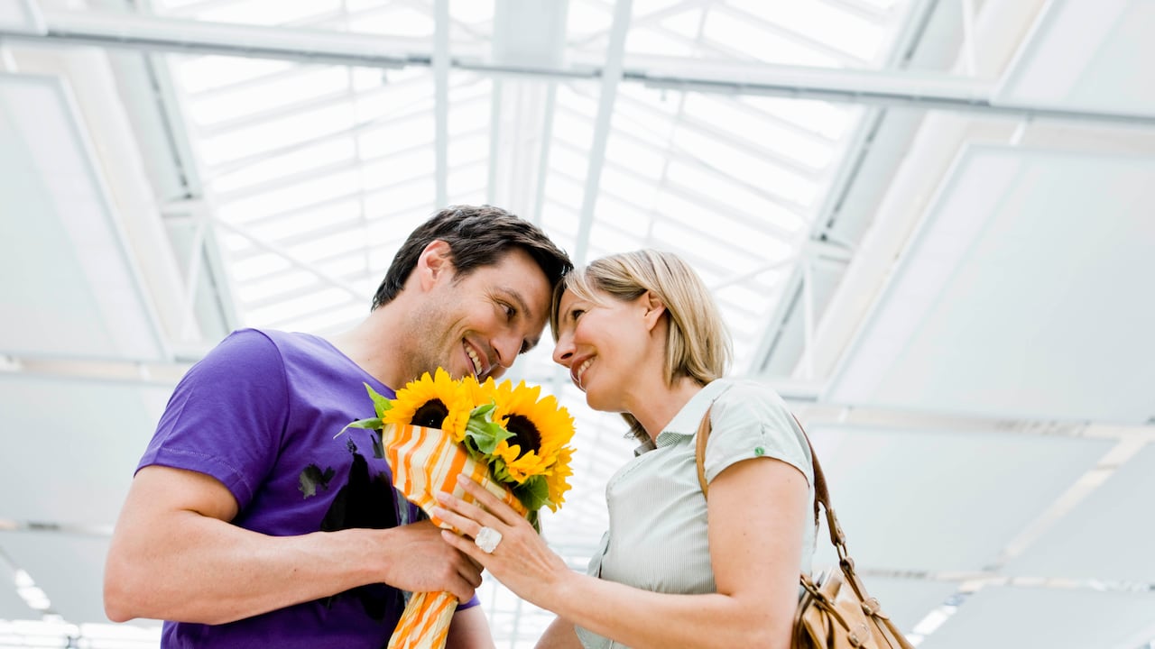 En medio de la celebración del Día del Amor y la Amistad de 2023, los girasoles brillaron como un regalo recurrente, despertando la curiosidad sobre por qué estas flores se han convertido en un símbolo tan arraigado de afecto y cariño.