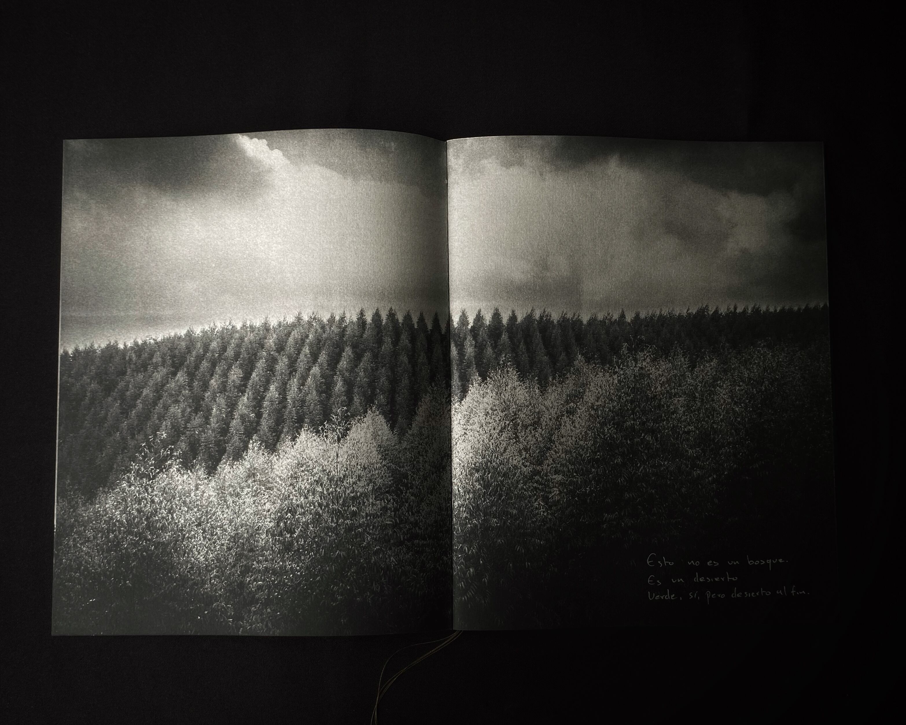 'Desierto Verde', de Víctor Galeano, autoeditado por Baudó AP e impreso en Matiz Taller Editorial.