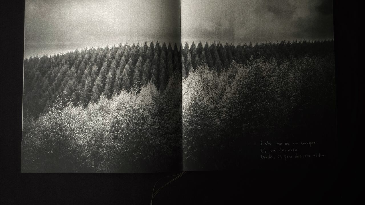 " Lo que define a un desierto no es su apariencia, sino su incapacidad para sostener la vida", explica Galeano.