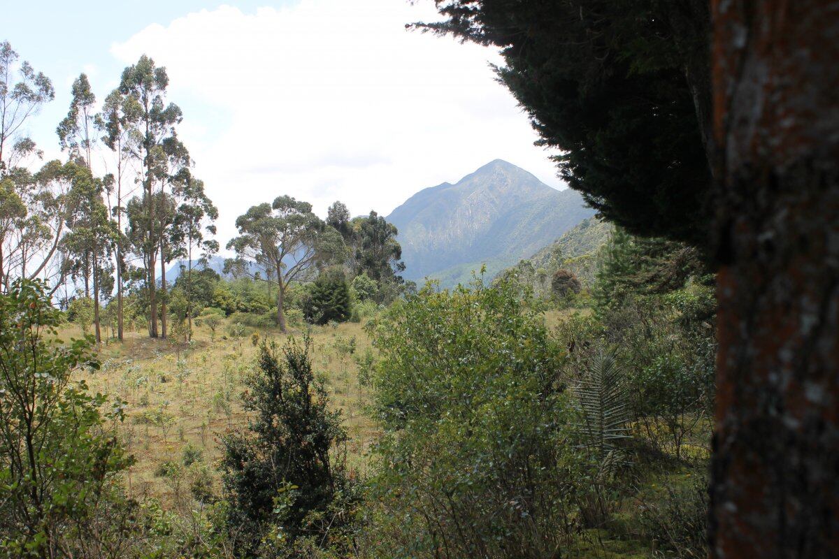 Este cerro sagrado para los muisca padeció los embates de la explotación minera durante más de cuatro décadas.