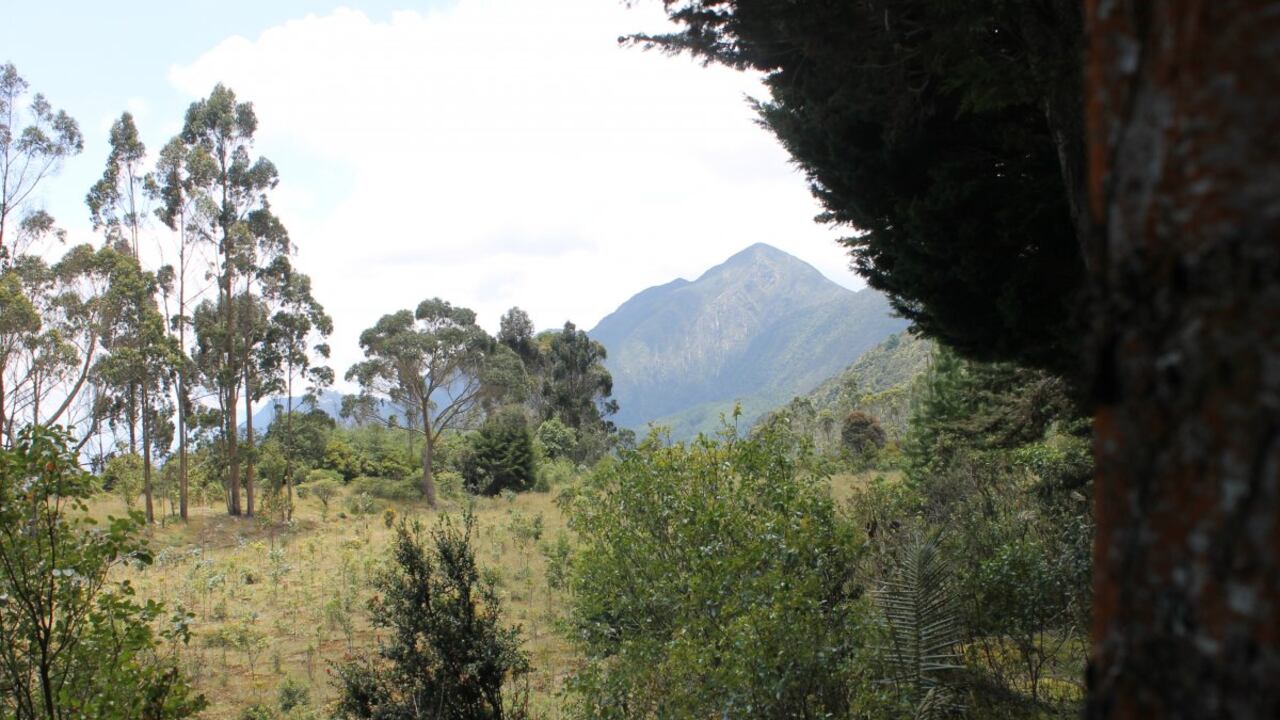 Este cerro sagrado para los muisca padeció los embates de la explotación minera durante más de cuatro décadas.