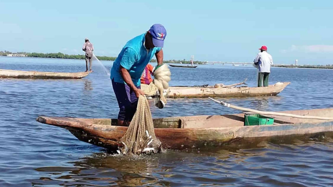 Los pescadores son algunos de los afectados con la contaminación de los mares debido a la reducción de especies. Foto: archivo/Semana