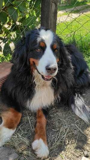 #BuscandoAKiara. Foto de cortesía de Camilo Jaramillo