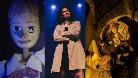 La programación incluye teatro familiar, dramático, comedia, improvisación, clown y circo.