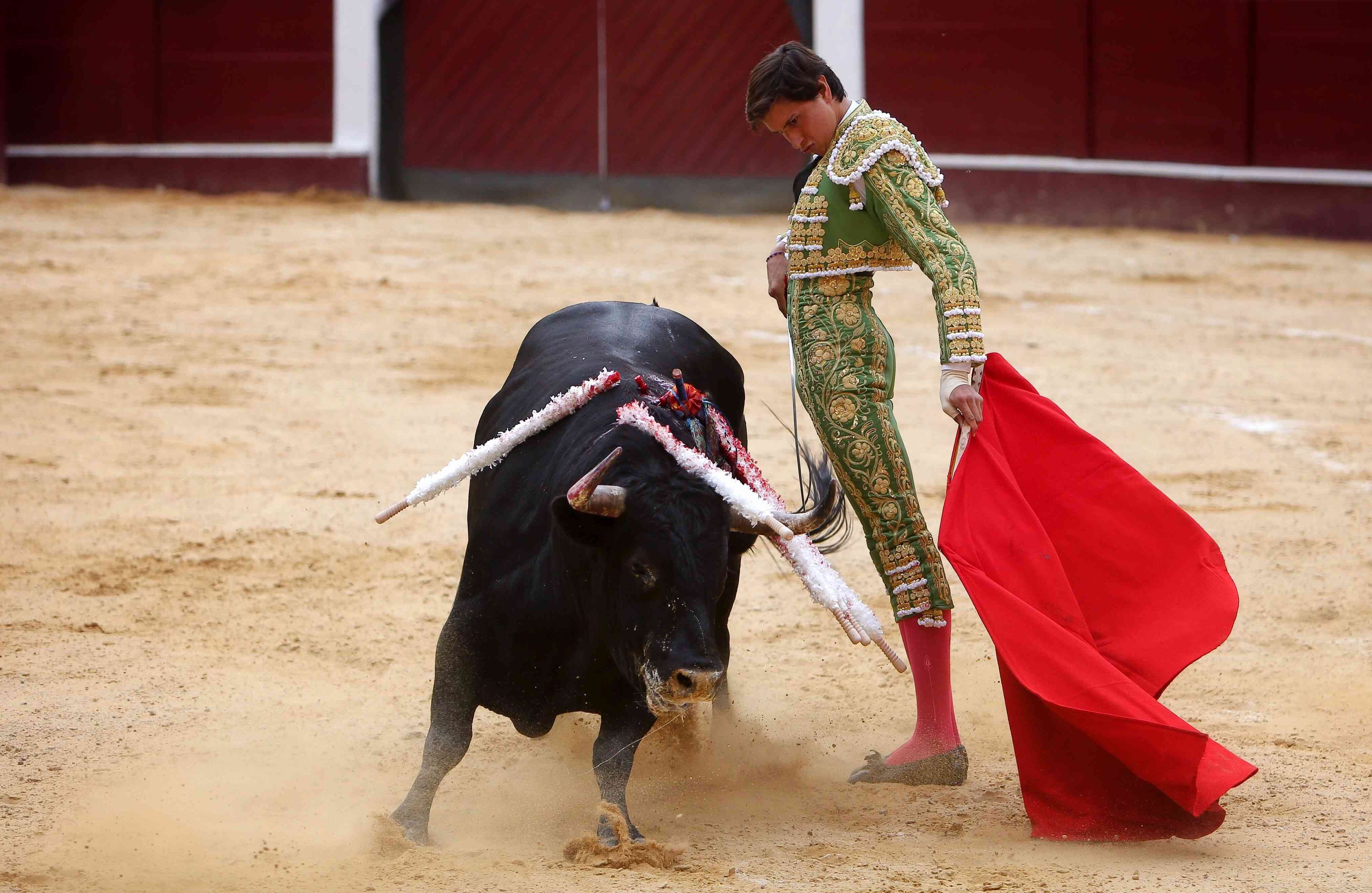 Roca Rey, torero peruano. (Esteban Vega/SEMANA)