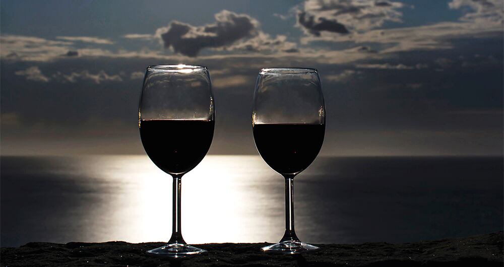 Los gatos memorizan nombres_5