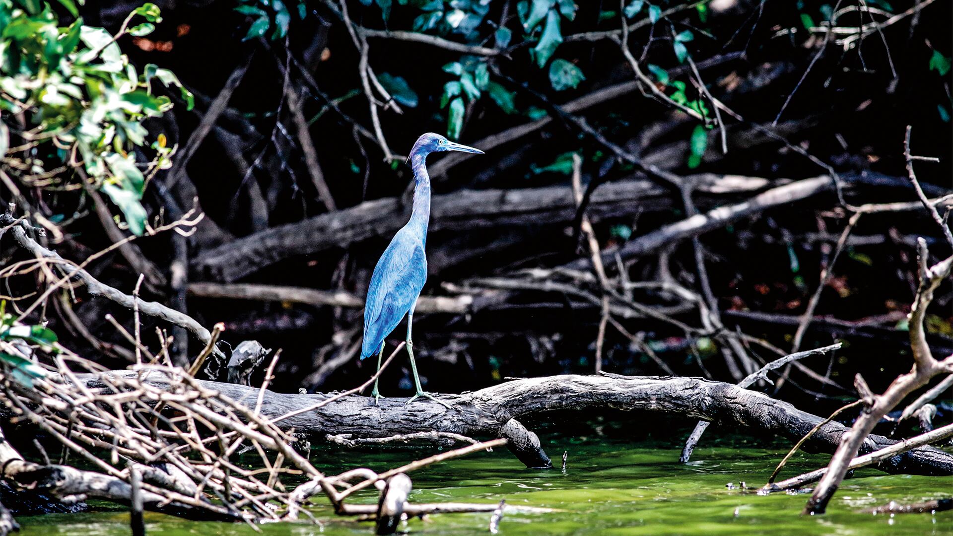 NO USAR, USO EXCLUSIVO MEJOR COLOMBIA, Especial Mejor Colombia, Regiones Inversión turismo
