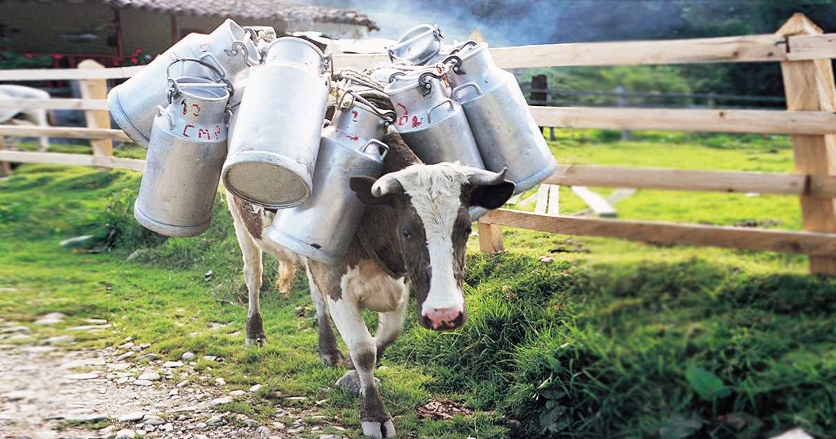 León Darío Peláez/SEMANA